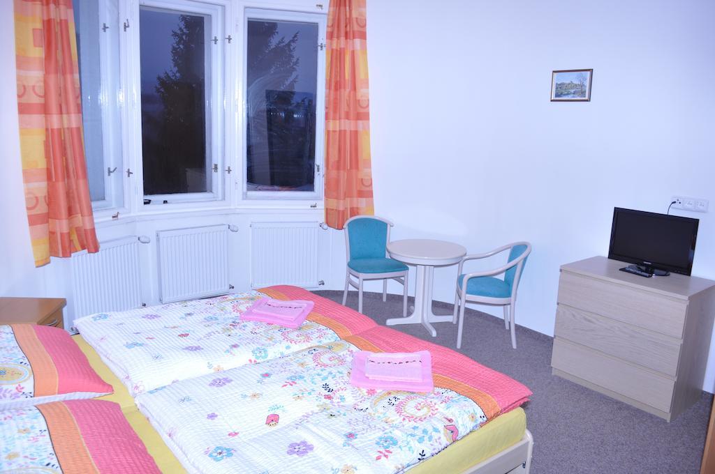 Penzion Vila Victoria Abertamy Pokoj fotografie